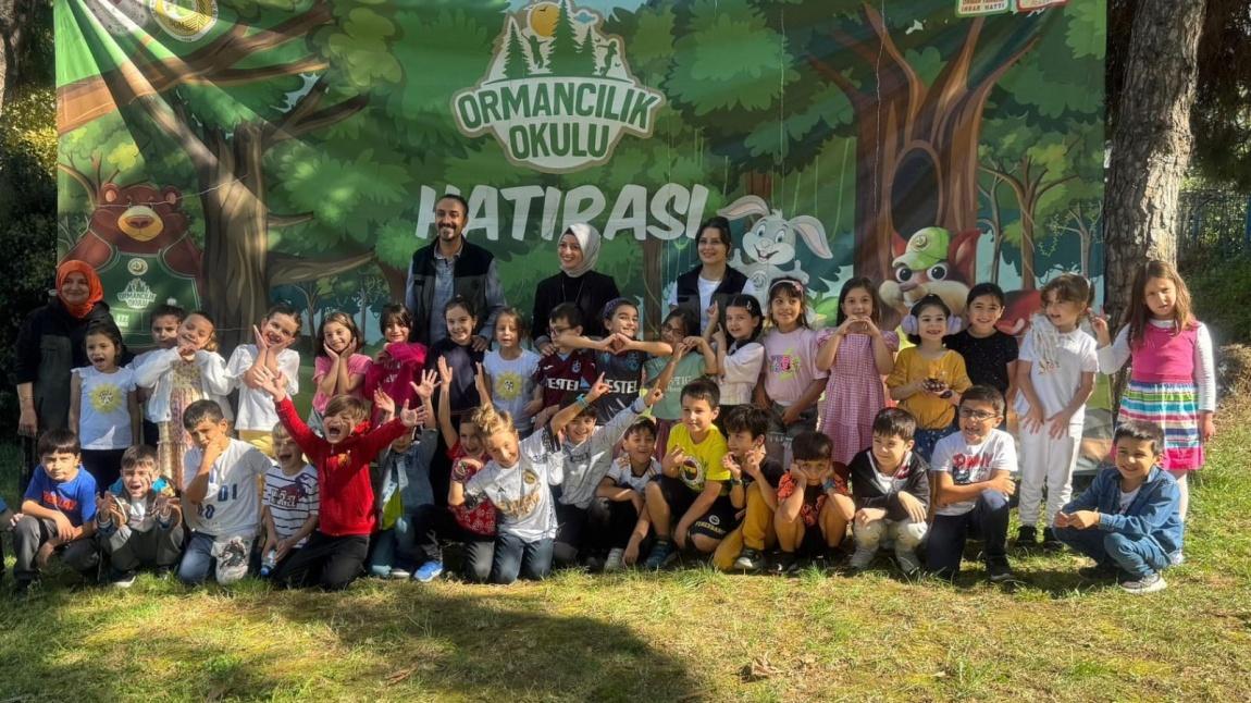 TRABZON ORMAN İSLETME MÜDÜRLÜGÜ 